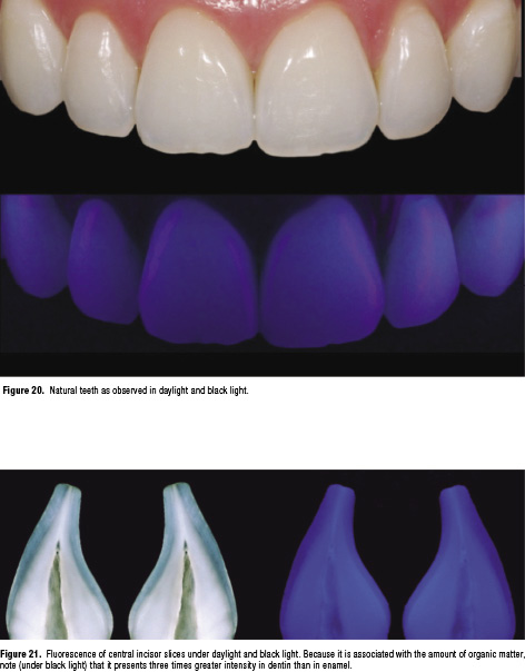 Color Selection And Reproduction In Dentistry Part 2 Light Dynamics In Natural Teeth 9797