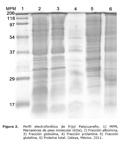 Figura%202.jpg