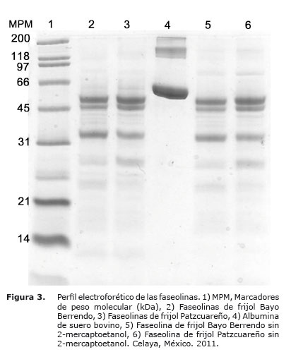 Figura%203.jpg