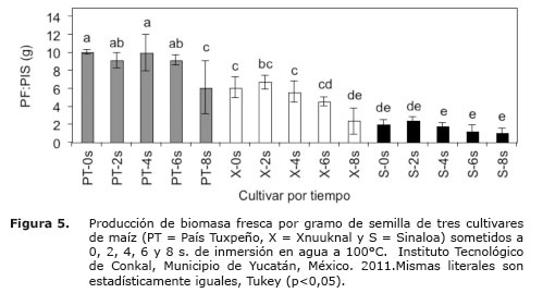 Figura%205.jpg