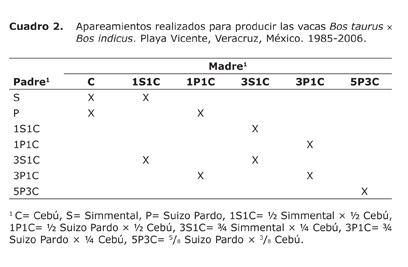 Cuadro%202.jpg