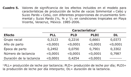 Cuadro%205.jpg