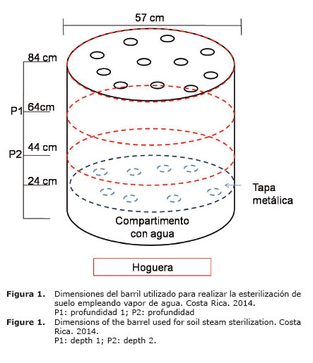 Figura%201.jpg