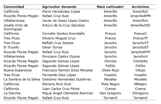 Procedencia de las semillas de los diecinueve maíces locales colectados en el año 2013 en las comunidades de la Reserva de la Biosfera La Sepultura (REBISE), Chiapas, México.