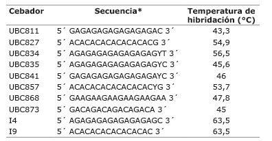 Secuencia genética y temperatura de hibridación de los diez cebadores ISSR empleados durante 2013 en la caracterización molecular de diecinueve materiales locales de maíz de la Reserva de la Biosfera La Sepultura (REBISE), Chiapas, México.  