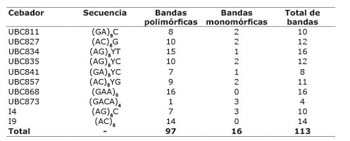 Polimorfismo de los cebadores analizados durante 2013 en la caracterización molecular de diecinueve maíces locales de la Reserva de la Biosfera La Sepultura (REBISE), Chiapas, México.