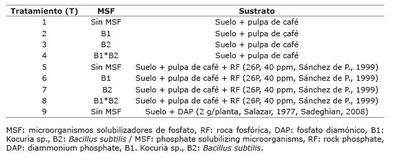 Descripción de los tratamientos para evaluar el efecto de las bacterias solubilizadoras de fosfatos,  Kocuria  sp. y  Bacillus subtilis , sobre el desarrollo de plántulas de café variedad Castillo, bajo condiciones de invernadero. Palmira, Colombia. 2013-2014.