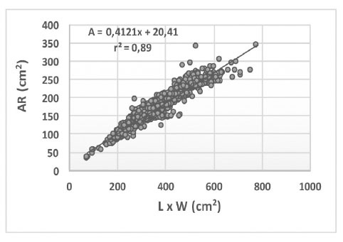 Diagrama de dispersión, línea de regresión y ecuación de regresión para la relación entre el área real (AR) y el producto de largo (L) x ancho mayor (W) de las láminas, de ocho morfotipos considerados en conjunto de yacón ( Smallanthus sonchifolius  (Poep. & Endl.) H. Rob.) del norte peruano, en conjunto. Cajamarca, Perú. 2014-2015.
			Muestra: ochocientas hojas.