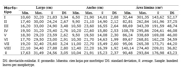 Valores de largo (L), ancho mayor (W) y área real de las láminas foliares de ocho morfotipos de yacón ( Smallanthus sonchifolius  (Poep. & Endl.) H. Rob.) del norte peruano. Cajamarca, Perú. 2014-2015.
			