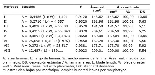 Área laminar estimada en relación al área real, según la ecuación seleccionada para cada morfotipo de yacón ( Smallathus sonchifolius  (Poep. & Endl.) H. Rob.) del norte peruano. Cajamarca, Perú. 2014-2015.