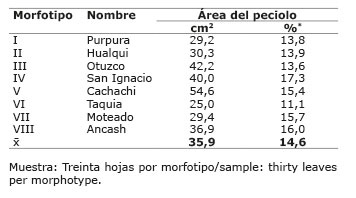 	Área del peciolo (%) con respecto al área total de la hoja de ocho morfotipos de yacón  Smallanthus sonchifolius  (Poep. & Endl.) H. Rob.) del norte peruano. Cajamarca, Perú. 2014-2015.