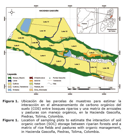 Figura%201.jpg