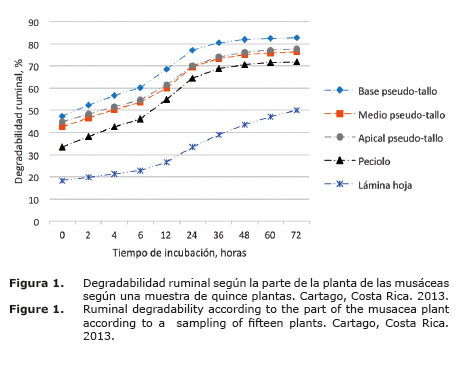 Figura%201.jpg