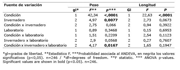 Ficha triple – CCP