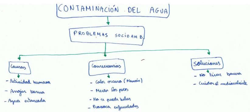 Los mapas conceptuales como instrumento de evaluación: Una experiencia de  educación ambiental centrada en el estudio de ecosistemas acuáticos