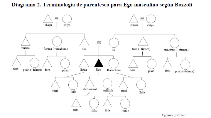 Diagrama 2. Terminología de parentesco para Ego masculino según Bozzoli