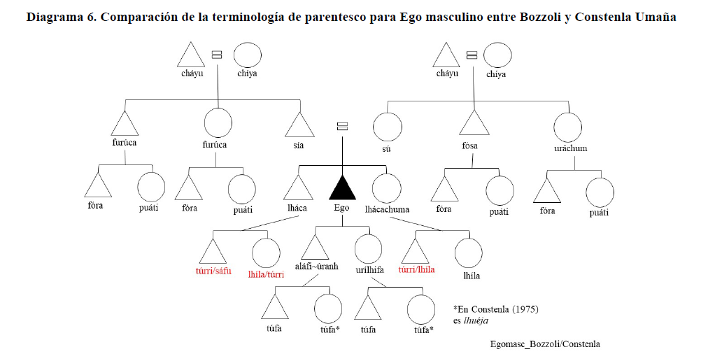 Diagrama 6. Comparación de la terminología de parentesco para Ego masculino entre Bozzoli y Constenla Umaña