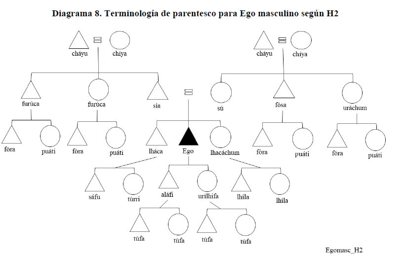 Diagrama 8. Terminología de parentesco para Ego masculino según H2
