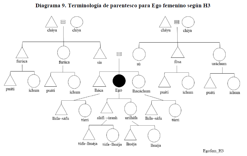 Diagrama 9. Terminología de parentesco para Ego femenino según H3