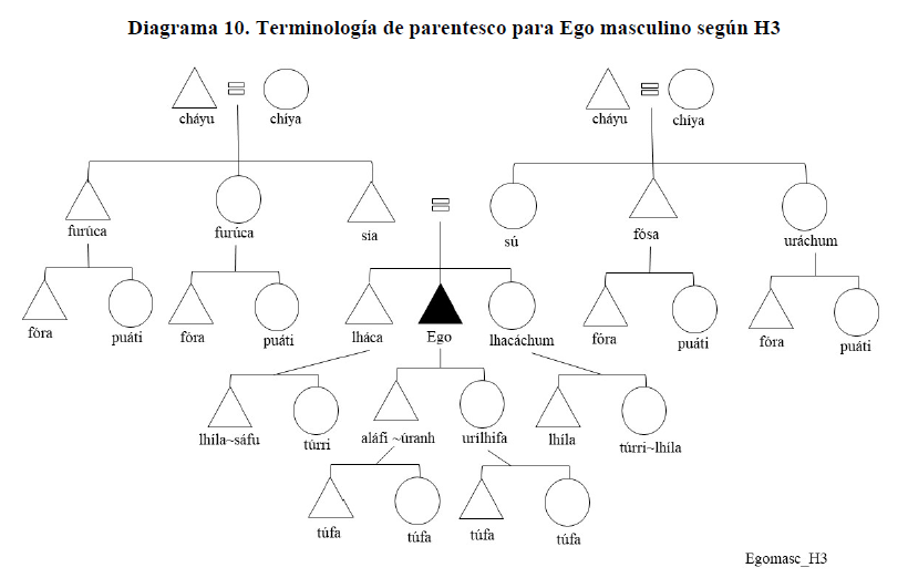 Diagrama 10. Terminología de parentesco para Ego masculino según H3
