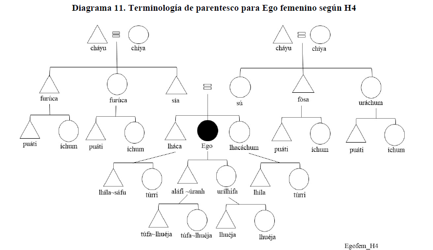Diagrama 11. Terminología de parentesco para Ego femenino según H4