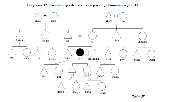 Diagrama 12. Terminología de parentesco para Ego femenino según H5