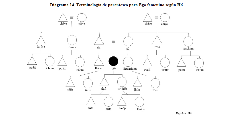 Diagrama 14. Terminología de parentesco para Ego femenino según H6