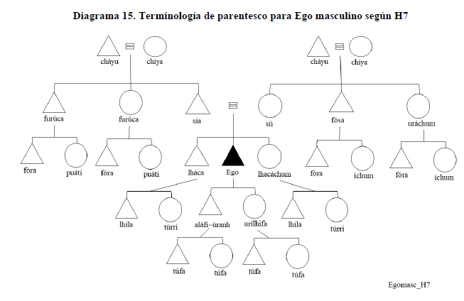 Diagrama 15. Terminología de parentesco para Ego masculino según H7