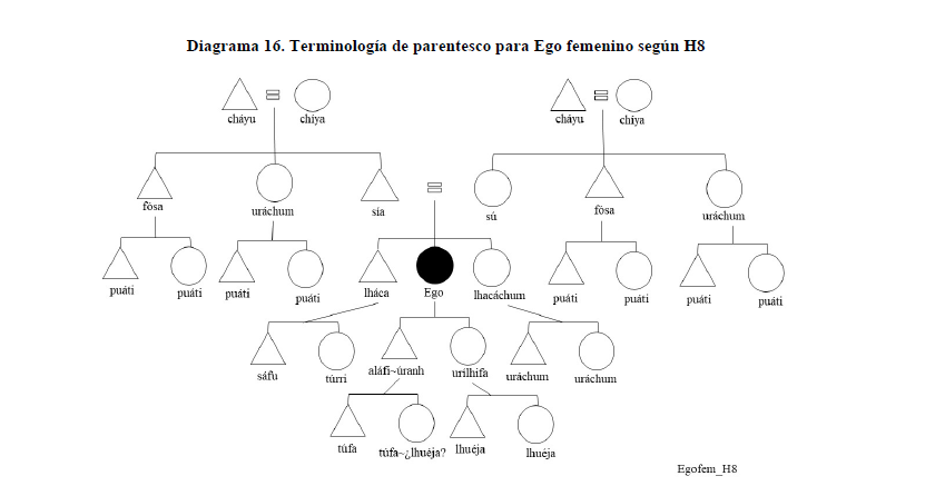 Diagrama 16. Terminología de parentesco para Ego femenino según H8