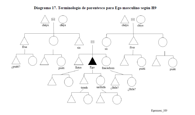 Diagrama 17. Terminología de parentesco para Ego masculino según H9