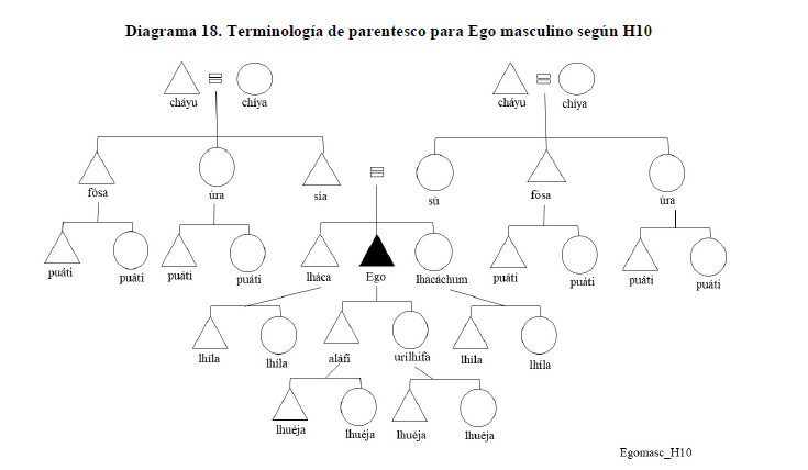 Diagrama 18. Terminología de parentesco para Ego masculino según H10