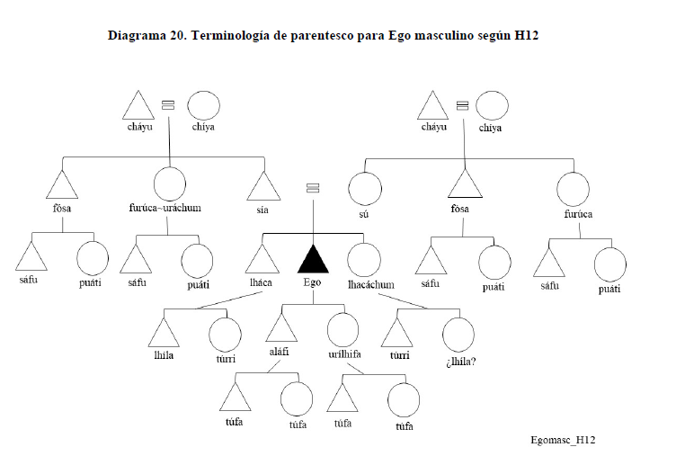 Diagrama 20. Terminología de parentesco para Ego masculino según H12
