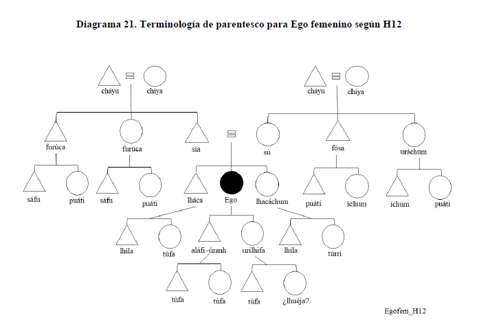Diagrama 21. Terminología de parentesco para Ego femenino según H12