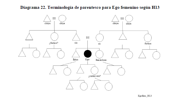 Diagrama 22. Terminología de parentesco para Ego femenino según H13