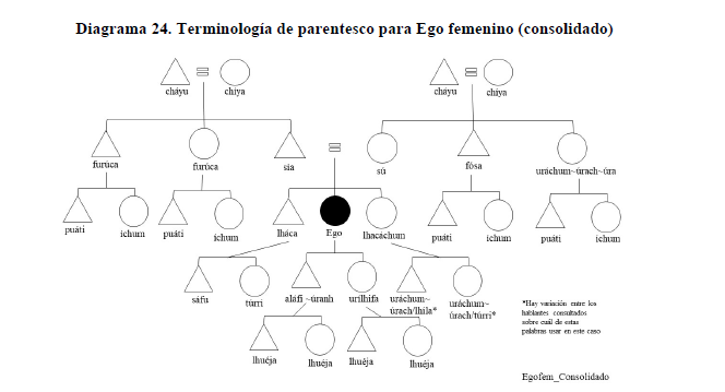 Diagrama 24. Terminología de parentesco para Ego femenino (consolidado)