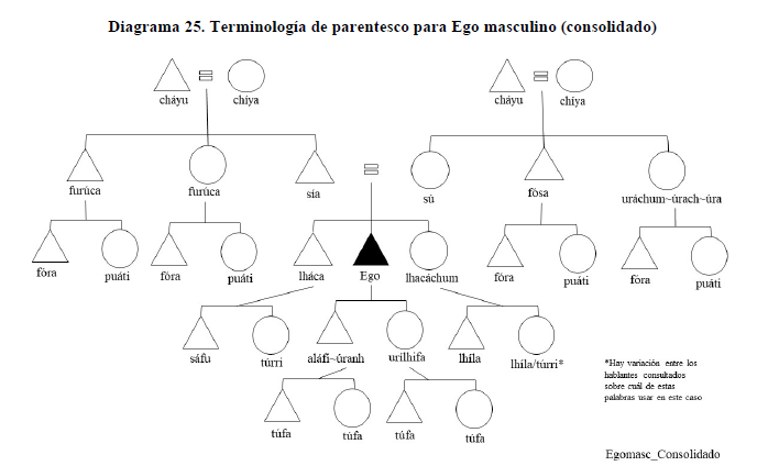 Diagrama 25. Terminología de parentesco para Ego masculino (consolidado)