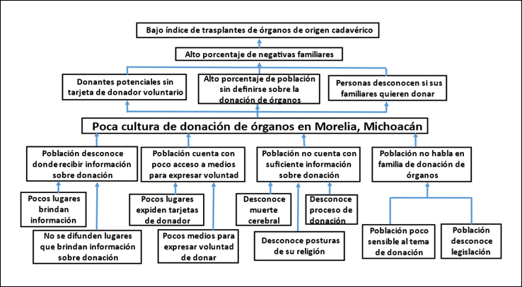 Árbol de problemas detectados alrededor de la cultura de donación de órganos en la ciudad de Morelia, Michoacán