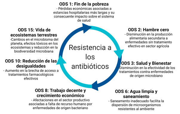 Impacto de la resistencia a los antibióticos en el cumplimiento de los objetivos del desarrollo sostenible