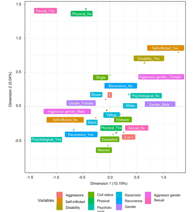 Perceptual map of cases of violence in Brazil, reported in the Notifiable Diseases Information System (SINAN)