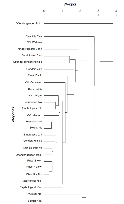 Dendrogram of the hierarchical clustering referring to cases of violence in Brazil, reported in the Notifiable  Diseases Information System (SINAN)