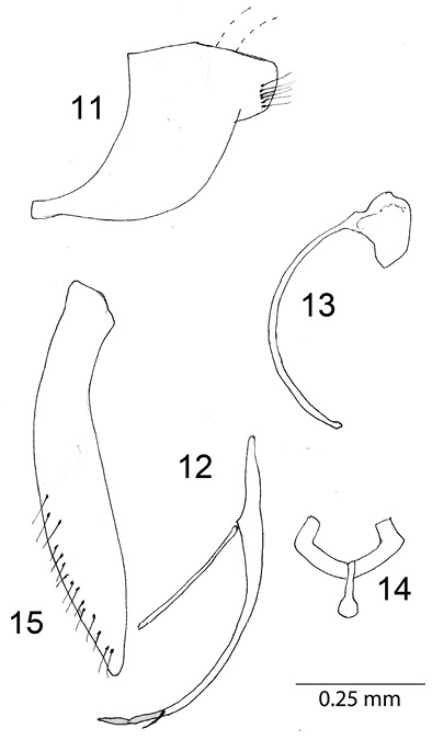 F011-015.psd