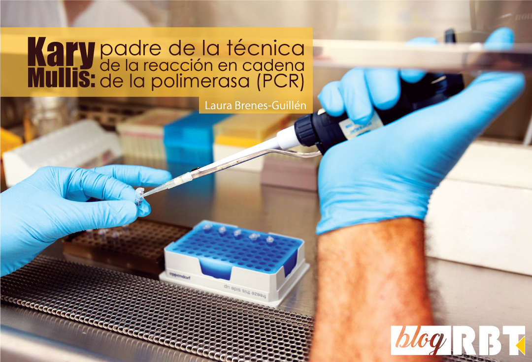 Biólogo en una sala de preparación de PCR. Crédito: Pan American Health Organization PAHO (CC BY-NC 2.0)