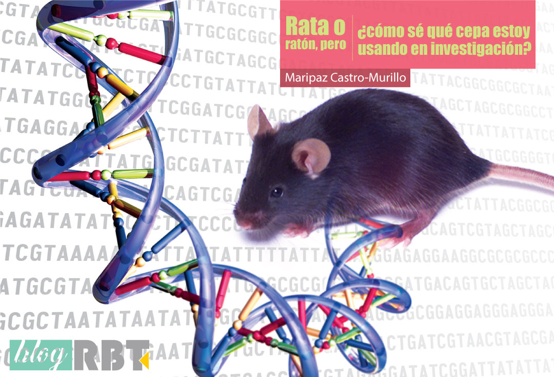Ratón y secuencias de ADN. Fuente: Darryl Leja, NHGRI (CC BY 2.0)