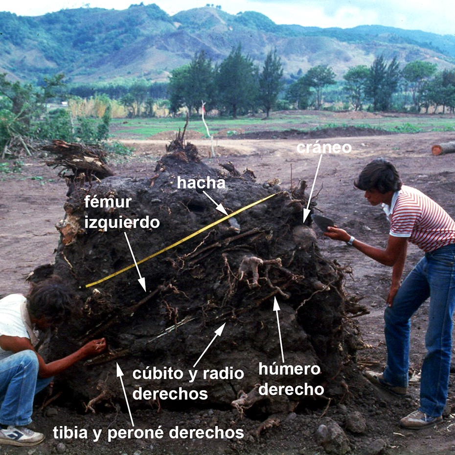 Vista desde el noreste del enterramiento bajo un árbol, en la trocha norte de acceso a Cocorí, sitio Agua Caliente (foto R. Vázquez, archivo DAH, MNCR)