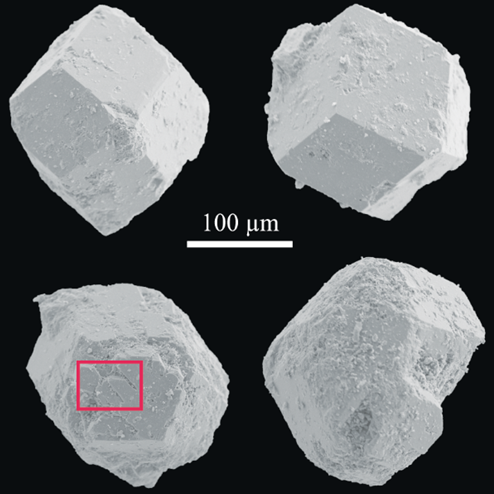 Fotografías MEB de cristales idiomórficos de grosularia. Enmarcado en rojo se observa en detalle de la estructura de un cristal (Rodríguez-Hernández et al., 2020)