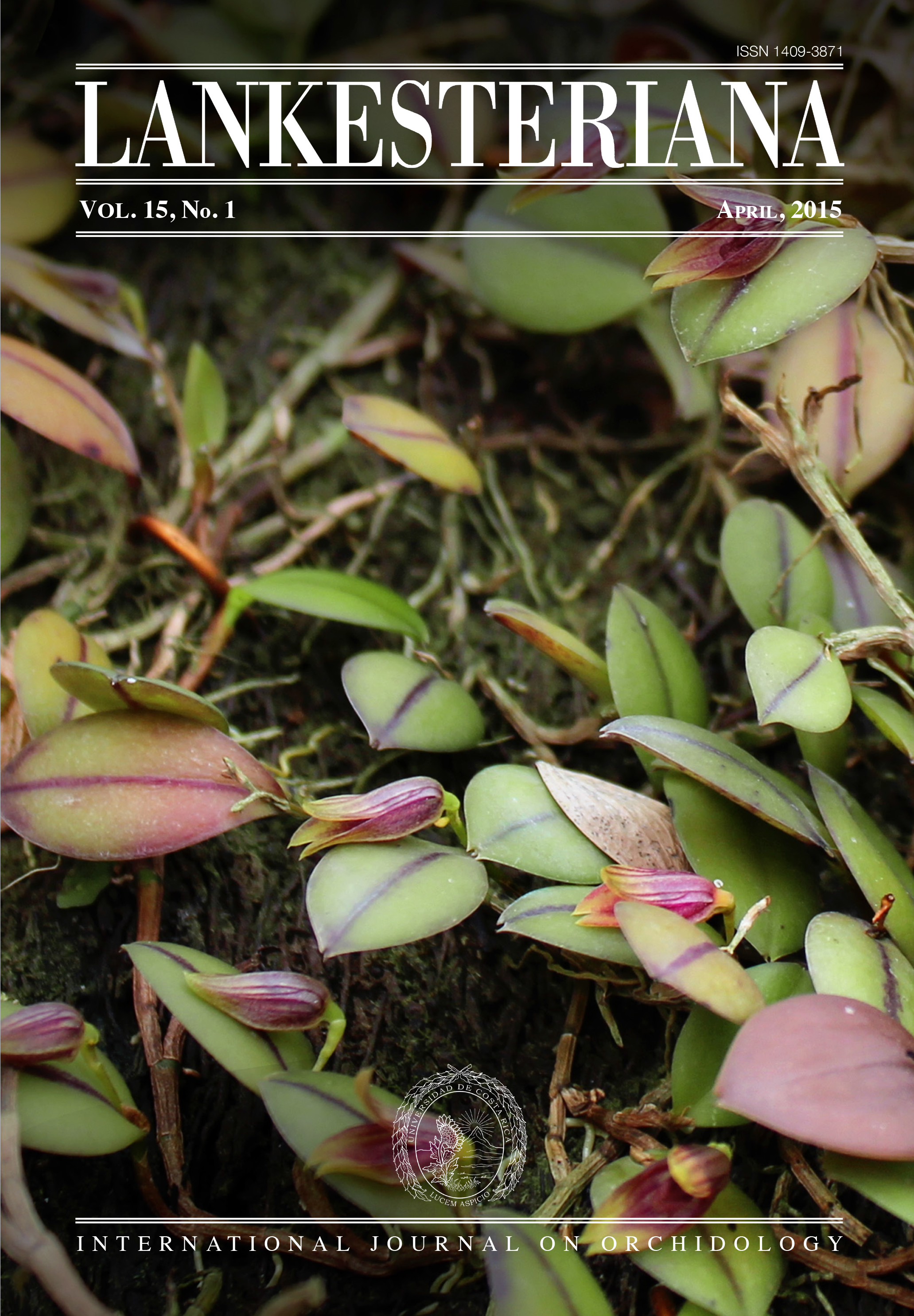 New Species and Nomenclatural Notes in the Pleurothallidinae (Orchidaceae)  from Brazil