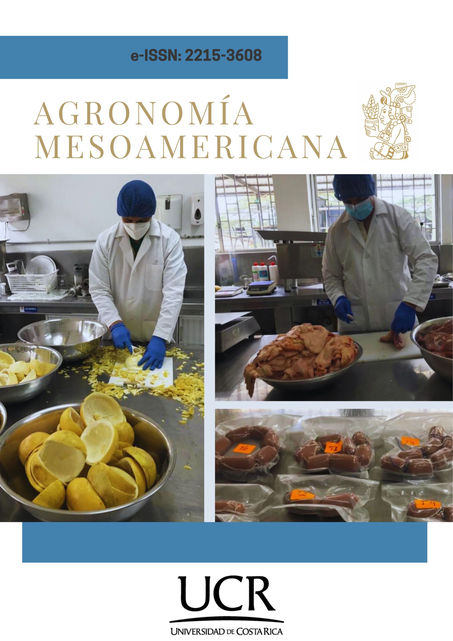 Muscovy duck ham with grapefruit albedo flour