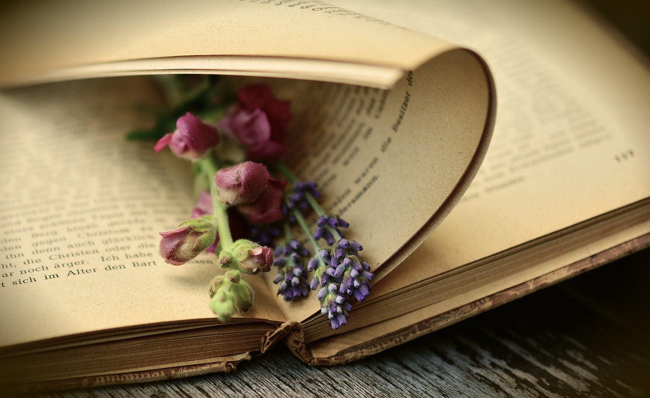 Libro con una flor